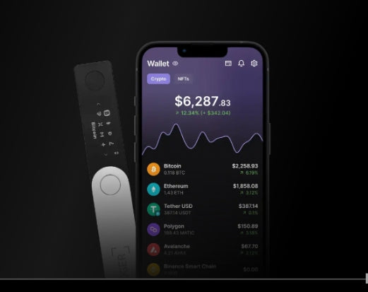 LEDGER -NANO X